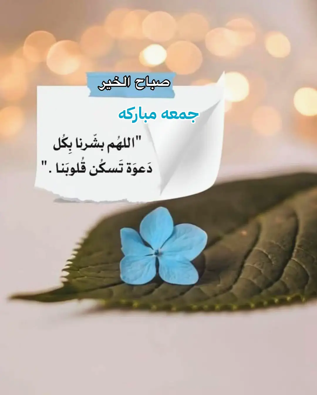 جمعه مباركه 🩵اللهم بشرنا بكل دعوة تسكن قلوبنا 🦋🌸