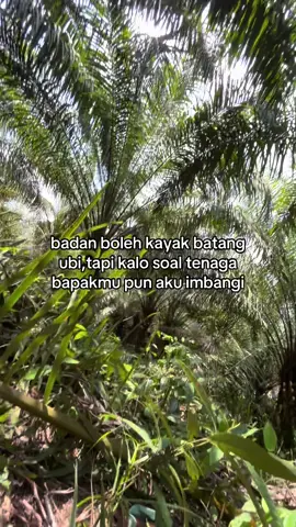apalagi kalo cuma pahlawan mu😝#fyp #fyppppppppppppppppppppppp #sawit #apajakoo🤙 #petanimuda #hasilsawit 