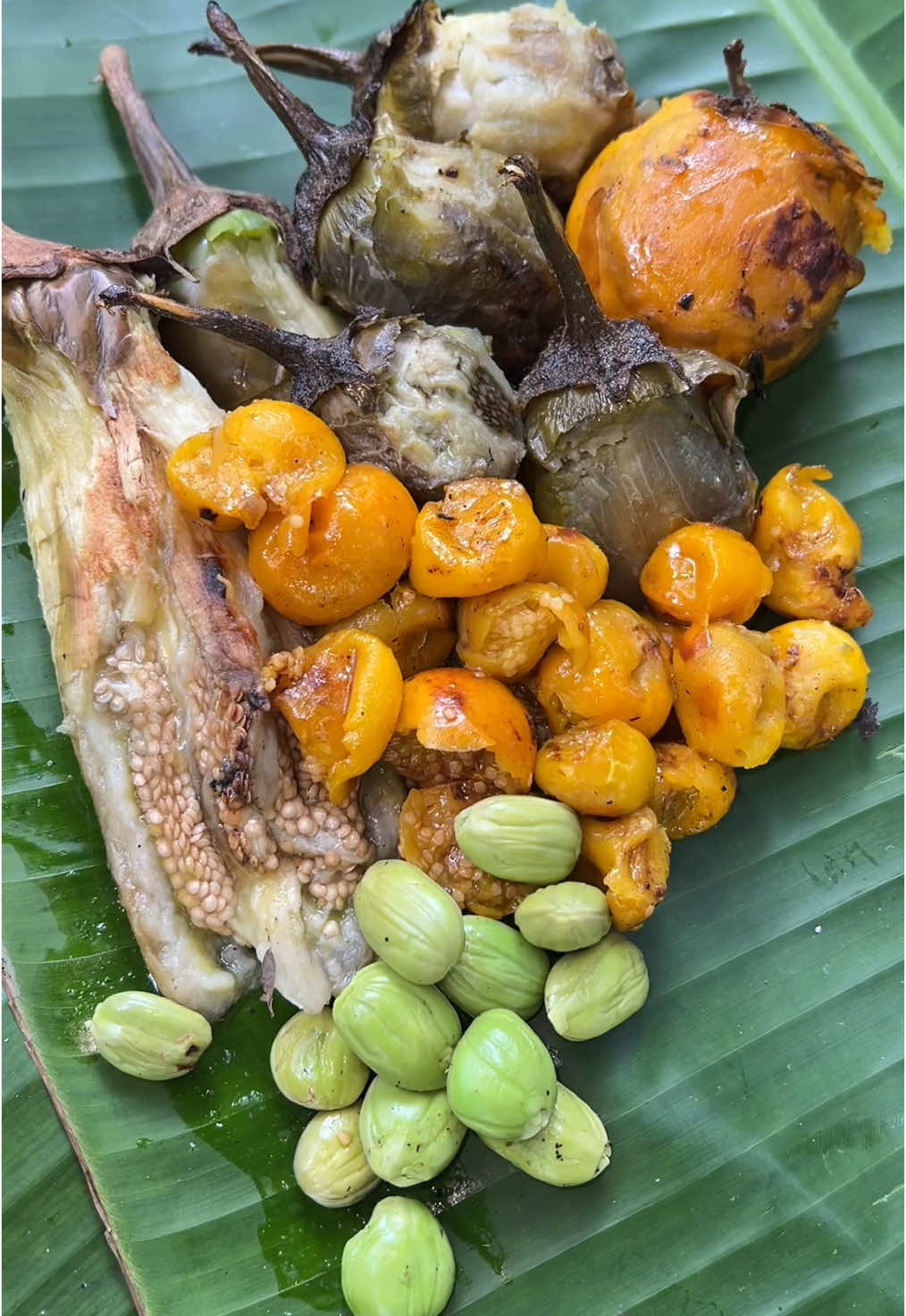 part lanjutan menu masakan kita di lahan baru, ada ikan jumbo guys,, #membukalahanbaru #masak #alam #Meloloid #melolobonus