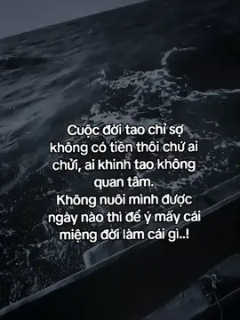 我这辈子就怕没钱，谁骂我谁看不起我都无所谓。 如果连自己都养不活，又何必在意别人的议论……！