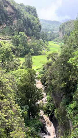 What a nature? Wenchi Crater Lake. #visitethiopia #sadorethiopiatours #wenchicraterlake 