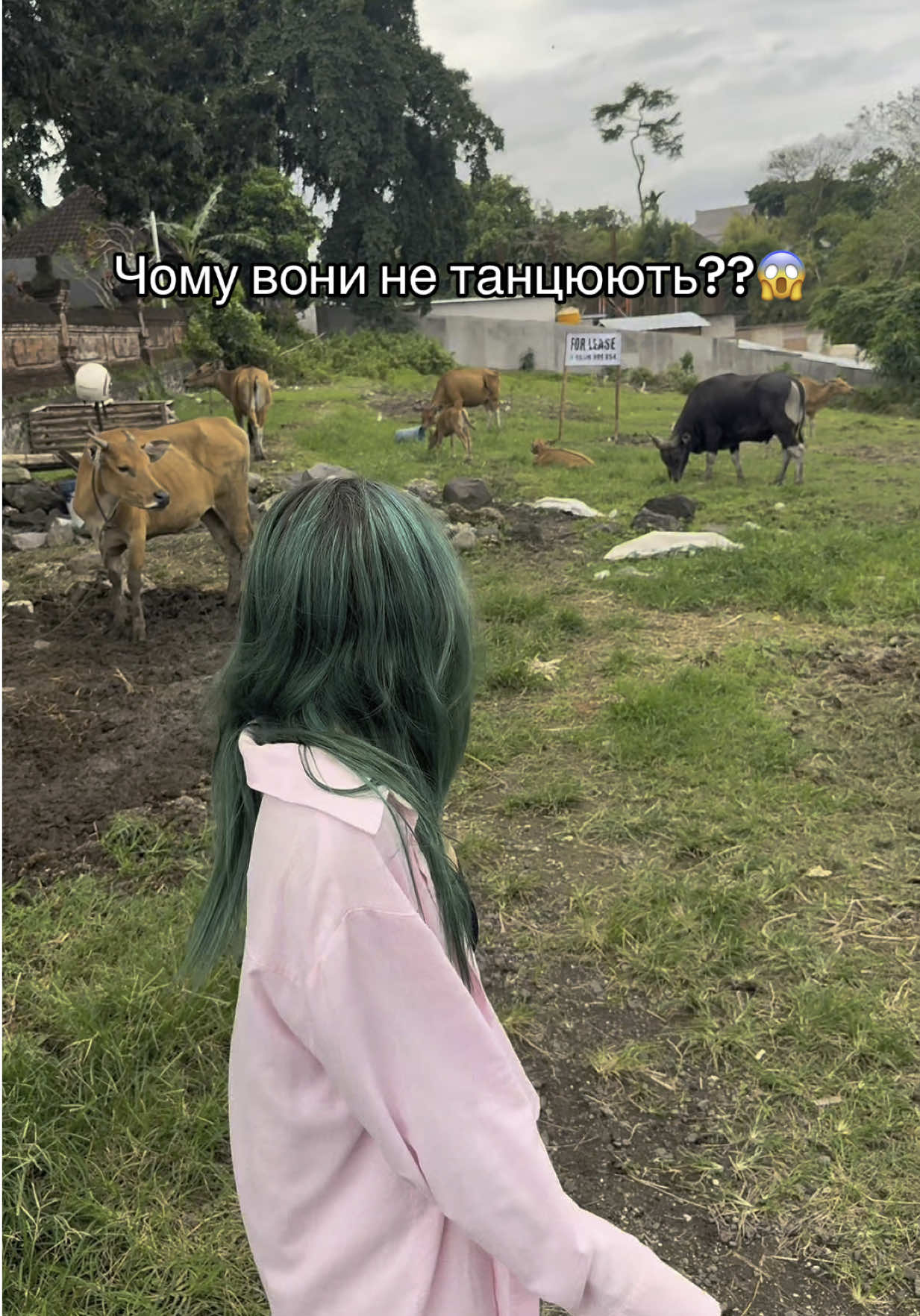 Єєєє, мб тому що останній місяць літа??? 🥹😭😱😱😱