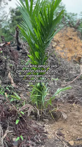 #ppks540 #petanimuda #petanisawit🌴 #kontenhiburan 