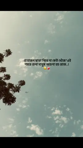 No one will take the need to look for the people in this city..!😅❤️‍🩹 .. .. .. #Sharjah_top_2#dubaivideo#foryou#yyyyyyyyyyyyyyyyy#vairalvideo