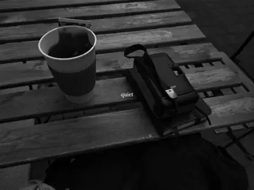 #aesthetic #moodboard #core #digitaldiary #vibes #quietlife #acubi #gloomy #quiet 