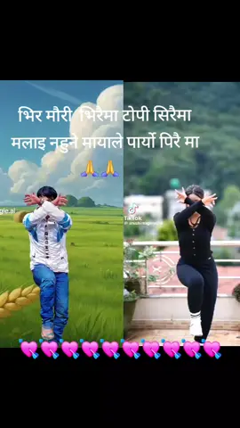 #birmauri #biraima #topi #siraima #song  #for #you #tik #tok # #video #vireal #plz💘🙏🙏💘🙏🙏💘❣️🙏💘 