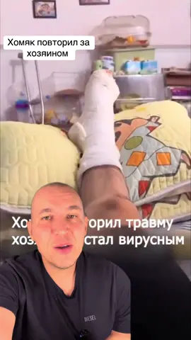 Хомяк поддержал своего хозяина ! #животное #хомяк #животные #мотивация #любовь❤ 