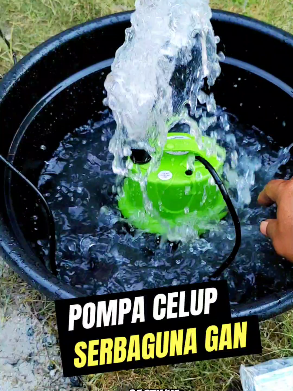 Rekomendasi Yang Bingung Alat Untuk Nguras Toren , Filter Kolam , Atau Untuk Sirkulasi aquarium, Ini Dia Pompa Celup Yang Udah Serbaguna banget  #pompa #pompacelup #pompaair #pompaaquarium #pompakolamikan #filterkolam #filteraquarium 