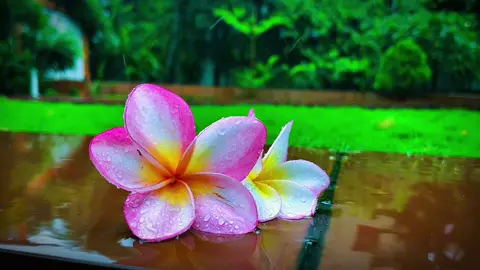 কারো সাথে ফোনে কথা বলতে বলতে কেঁদেছো? 🥺🖤#almgirkhan87 #foryou #foryoupage #tending #fypage #edit #vairal @For You @TikTok 