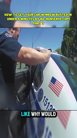How To Get Your Car Window Busted in under 5 Minutes by No-Nonsense Cops #cops #trending #typ #viral #police 