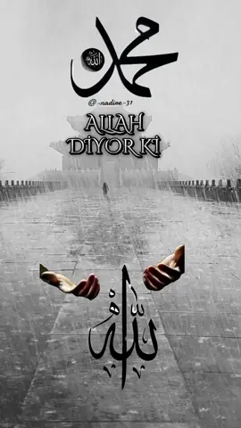 Hiç şüpesiz Elhamdülillah☝️#nadire31 