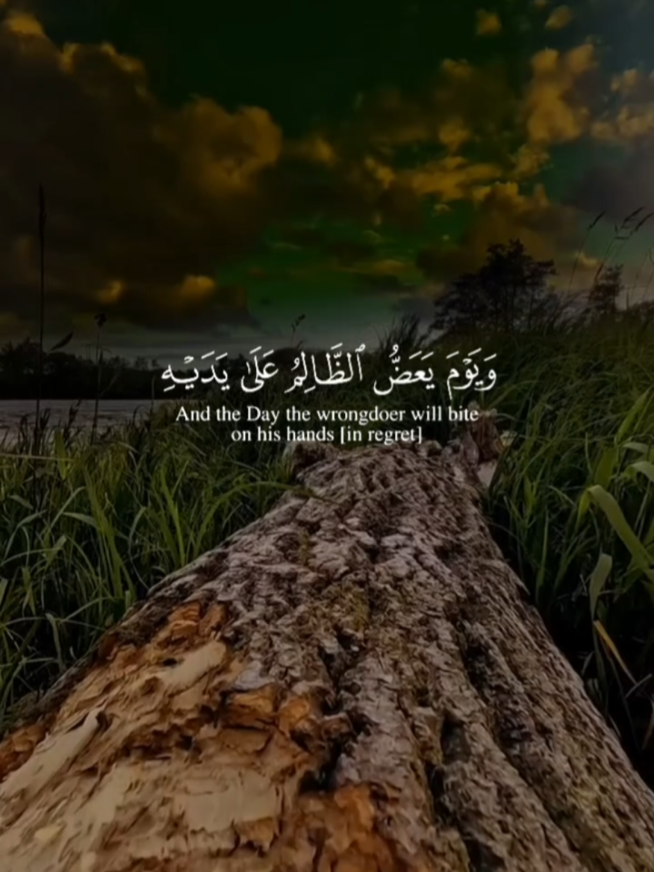 ويوم يعض الظالم على يديه #خالد_الجليل #قران #quran #القرآن_الكريم_ترند #نفع_الله_بكم_الاسلام #المؤمنون_بالله_وحده #حافظواعلى_الصلاة #لاتكفروا_بالله #صلوا_على_خير_البشر_تغنموا #اجزاء_من_القرآن #القرآن_صفحات #اكسبلور #مكة #viral 