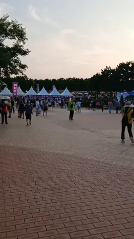 부산 다대포축제로 가고있네요