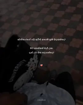 මට කියපං, දැන් උබ හිත හදාගත්තද🙂❤️‍🩹 . . . #tiktokviralvideo #fbreelsfypシ゚viralfbreelsfypシ゚viralvideo #fbreelsfypシ゚viralfbreelsfypシ #foryoupage #viralvideo #fbreelsfypシ゚viralfbreelsfypシ゚viral #tharuu___page 