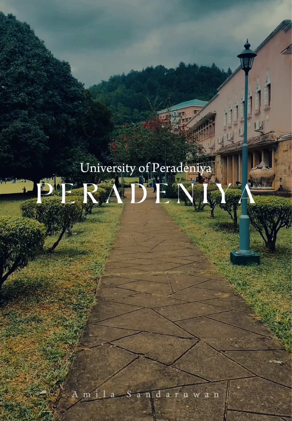 ලස්සනම හීනයක්, පේරාදෙණිය සරසවිය 💐🍃🍂 #CapCut #universityofperadeniya #uop #peradeniya_university #peradeniya #campus #fpyシ #trending #tiktok #peradeniyacampus #UOP 