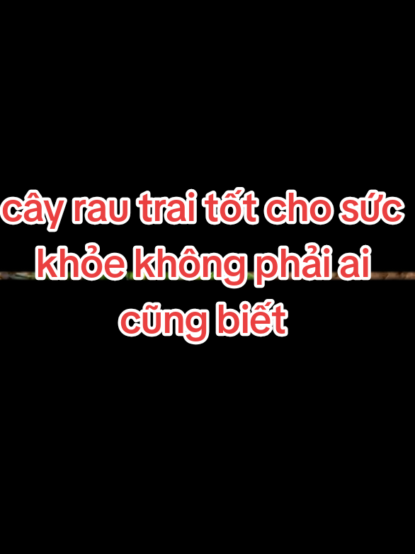 #bài thuốc dân gian 
