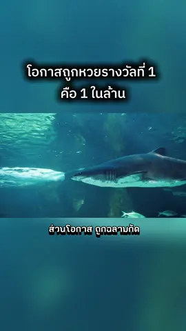 โอกาสถูกหวยรางวัลที่ 1 คือ 1 ในล้าน... #โอกาสถูกหวย #ความรู้รอบตัว #สถิติไม่น่าเชื่อ #ฟ้าผ่ายังง่ายกว่า   #สาระน่ารู้