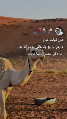 #على_قولت_جدي #عباراتكم_الفخمه📿📌 #على_البال #tiktok #viral #fypシ 