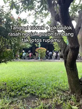 Rumangsaku yo Wes tenanan🥰#ut #universitasterbuka #tuton #ipk 