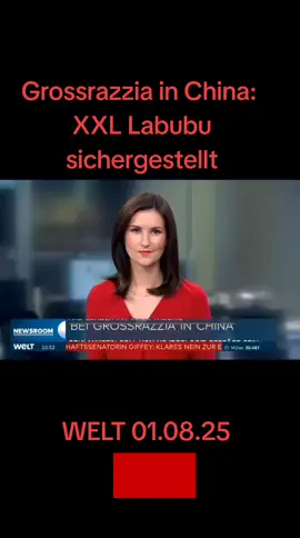 #razzia #labubu #beschlagnahmt #festnahme #plüschtier #Nachrichten #news #WELT #fyp 