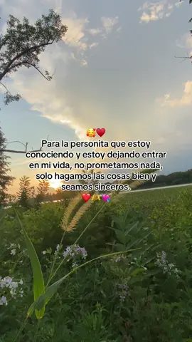 Te comencé a querer💗🥰 #fyp #paratii #amor #teamo #dedicalo #frasesmotivadoras #love💘 #fypシ 