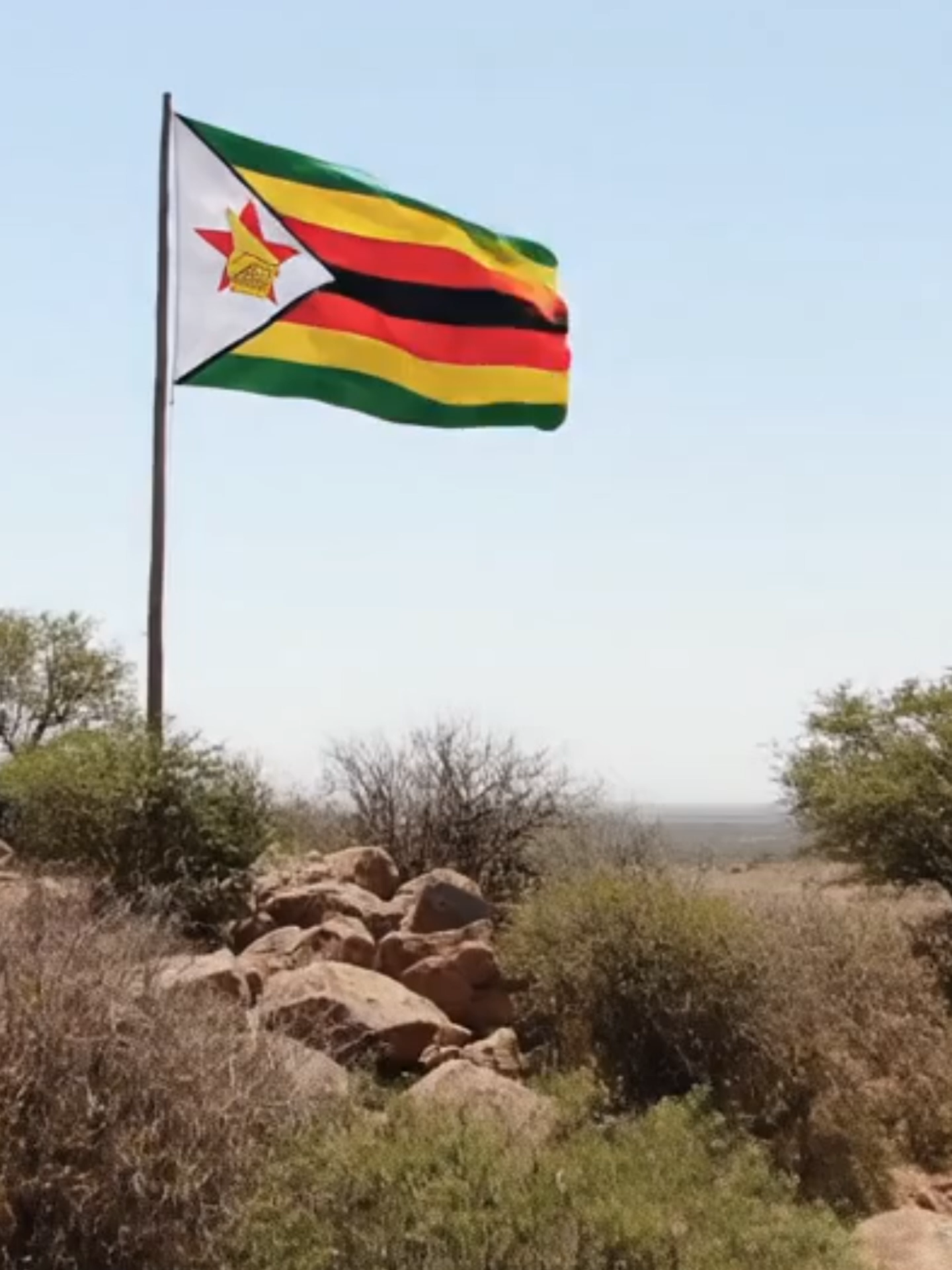 #zimbabwetiktok🇿🇼🇿🇼🇿🇼🇿🇼 #constitution #knowyourrights #constitutionalforum #legal #legaltiktok #zimbabweantiktok @amnestyzimbabwe @unicefusa @1unicefafrica @unicefsouthafrica