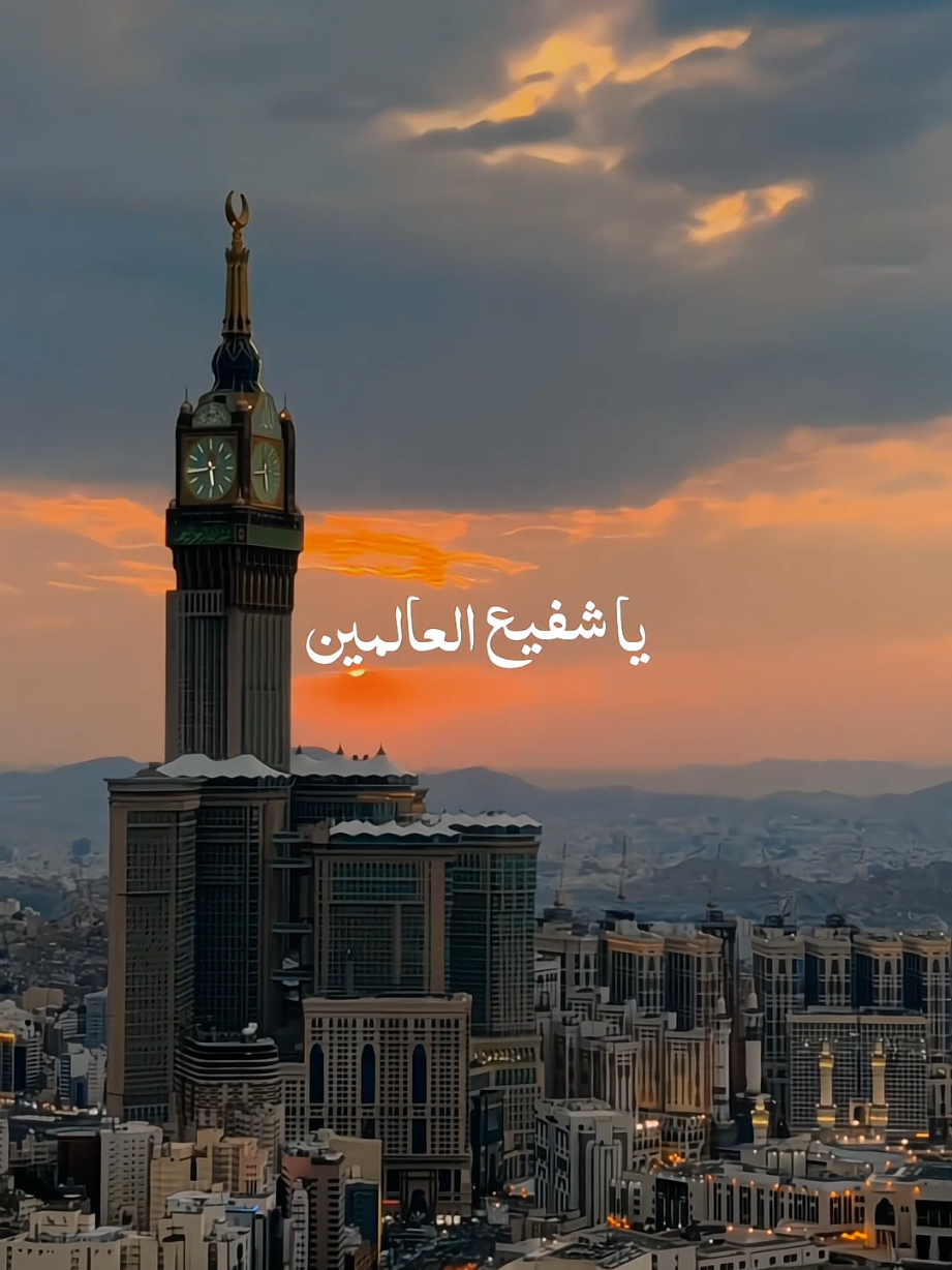 Al-Mu'allim . . . . #nasheed #islamicstatus #viralvideos #samiyusuf  #qalbibeats 