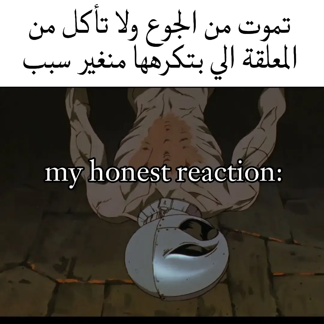 #fyp #griffith  #foryou #viral #memes 