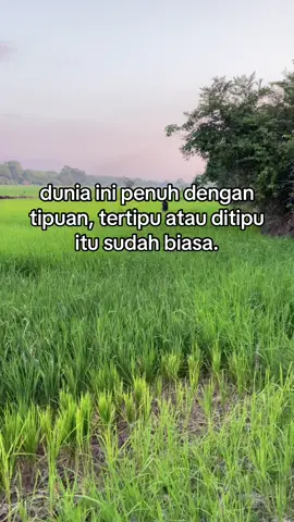#palembang #fyp #fypviralシ 