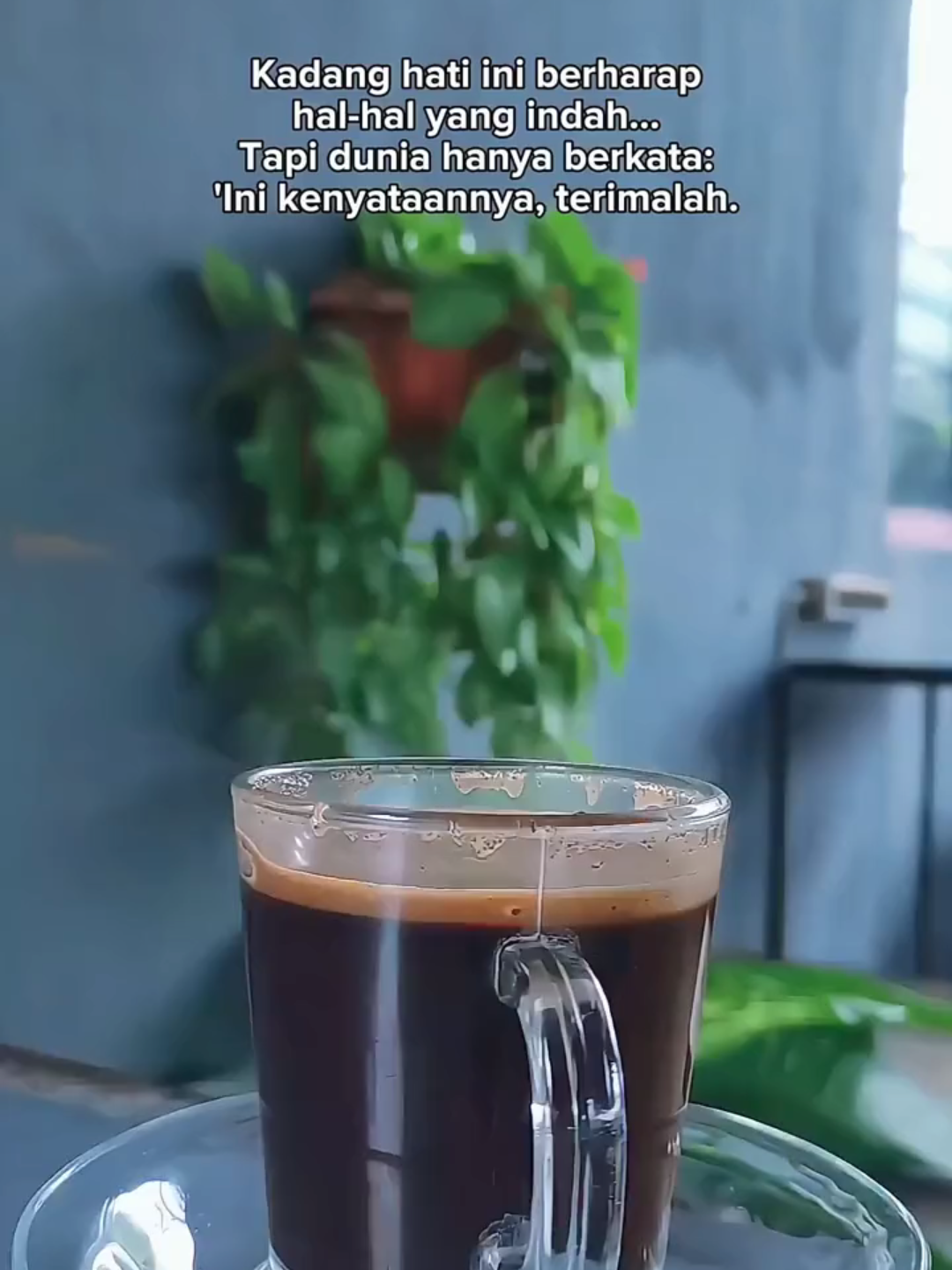 Upload lagi brusan kena PL..😂