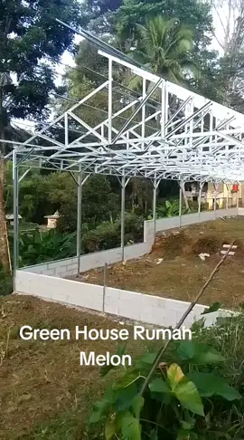 #rumahmelon #ketahananpangan #bumdes #2025 #fypシ゚viral 