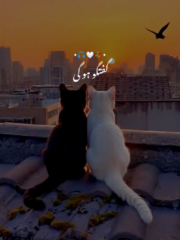 Unse hai ishq🤍🥀 #foryou #viral #deepfeelingsongs #pakistanisong #newsong 