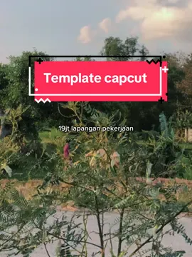 Cek out benderanya ya #cbtemplate #muslihtemplate #manajanji19jtlapanganpekerjaanyangkaujanjikanitu 