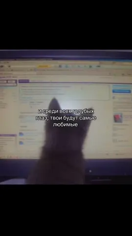 #голубыеглаза #рекомендации #любовь #отношения 