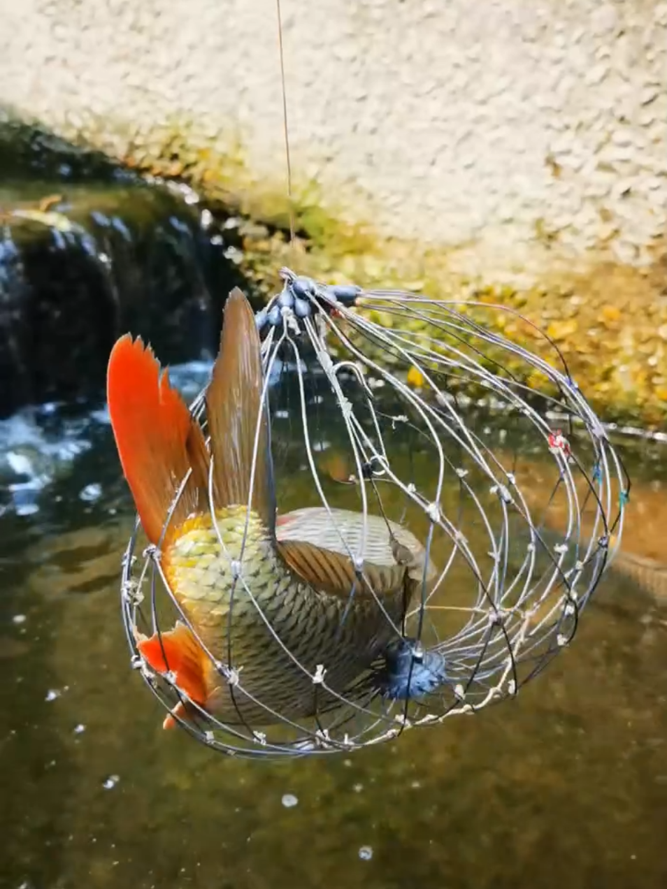 new best unique fishing trap in river lake #fish #fishing #video #1millionviews 