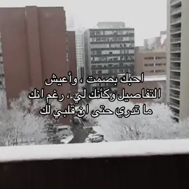 #fyp #حب #شعر #قصيد 