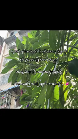 ရင်မှာအကြောင်းပြချက် ဘာမှမရှိ”🫶💞 #foryou #fyp 🥹💐