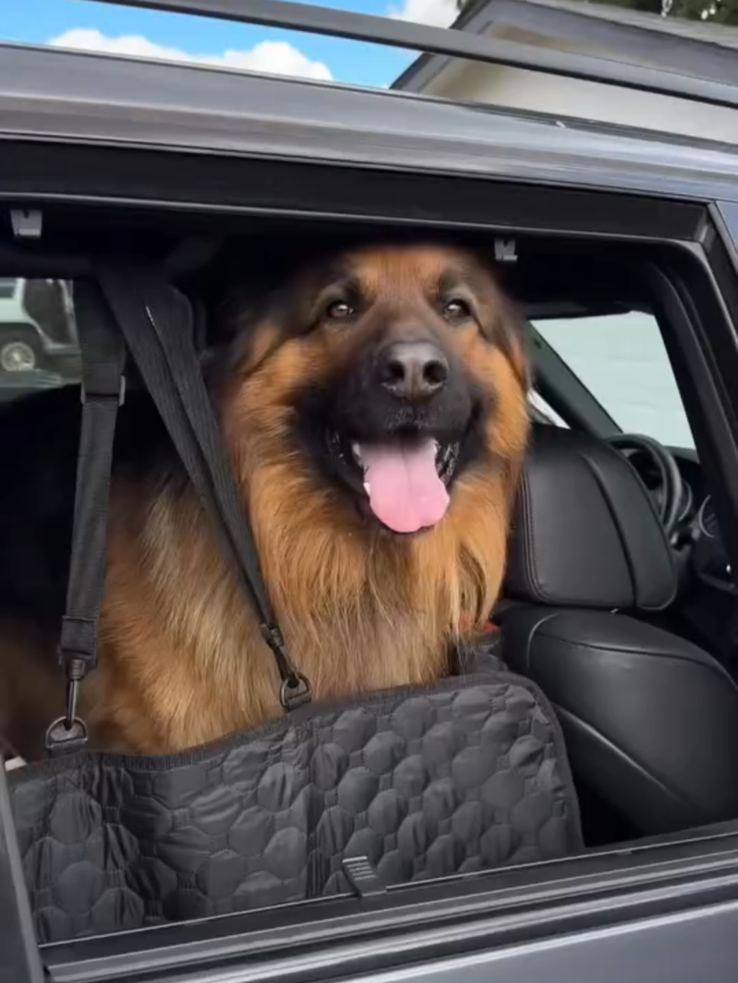 Sale Up to 56% Off Today! 🐶🐾 Shop here: https://ruffrover.com/free-bed #Ruffrover #PetBrand #petproductsonline #PetAccessoriesforsale #PetAccessoriesforshop #DogEssentials #PetHacks #DogCamping #PetComfort #DogBedding #DogComfort #PetHome #dogtraveler #dogtravels #dogtraveller #PetFriendlyNYC #TexasPets #DogsofSeattle #PawSquad #PawFriends #DogGear #DogSafety #TravelWithDogs #PetBed #dogtravel #petlovers #dogs #DogLovers