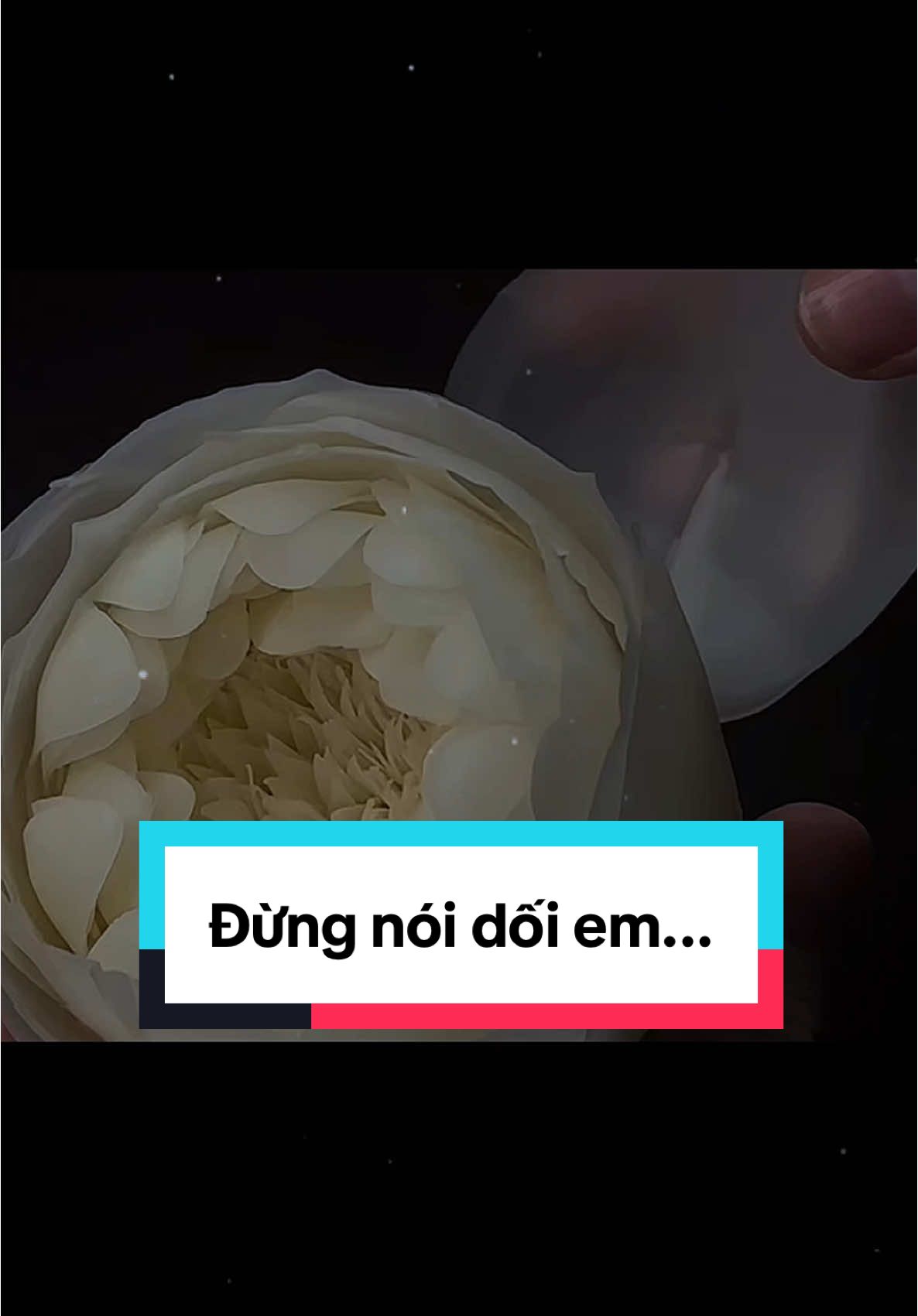 #CapCut Làm gì cũng được nhưng làm ơn đừng nói dối chuyện gì cả.. đừng nói dối em ...
