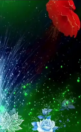 🤲Subhan Allah Alhamdulillah La Illaha Ilallahu Allahu Akbar🤲❤️❤️❤️❤️❤️❤️❤️❤️❤️❤️❤️❤️❤️
