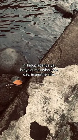 #4u #fyp 