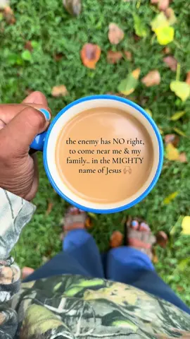 a declaration over my life & my family as we enter a new month 🙌🏽 the enemy has NO right in the MIGHTY name of Jesus!!! AMEN!  #firstofthemonth #augustprayer #prayer #august #christiantok #christian #mightynameofjesus 