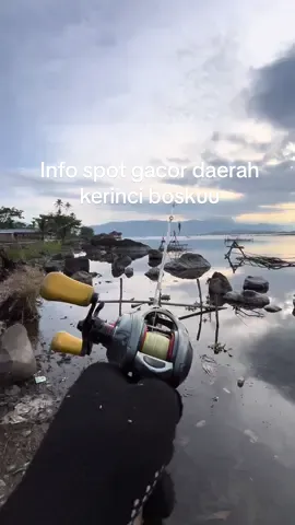 Info spot gacor daerah kerinci boskuu#fyp #mancing #castingfishing🎣 #fishing #storymancing #mancingmania #mancingikan 