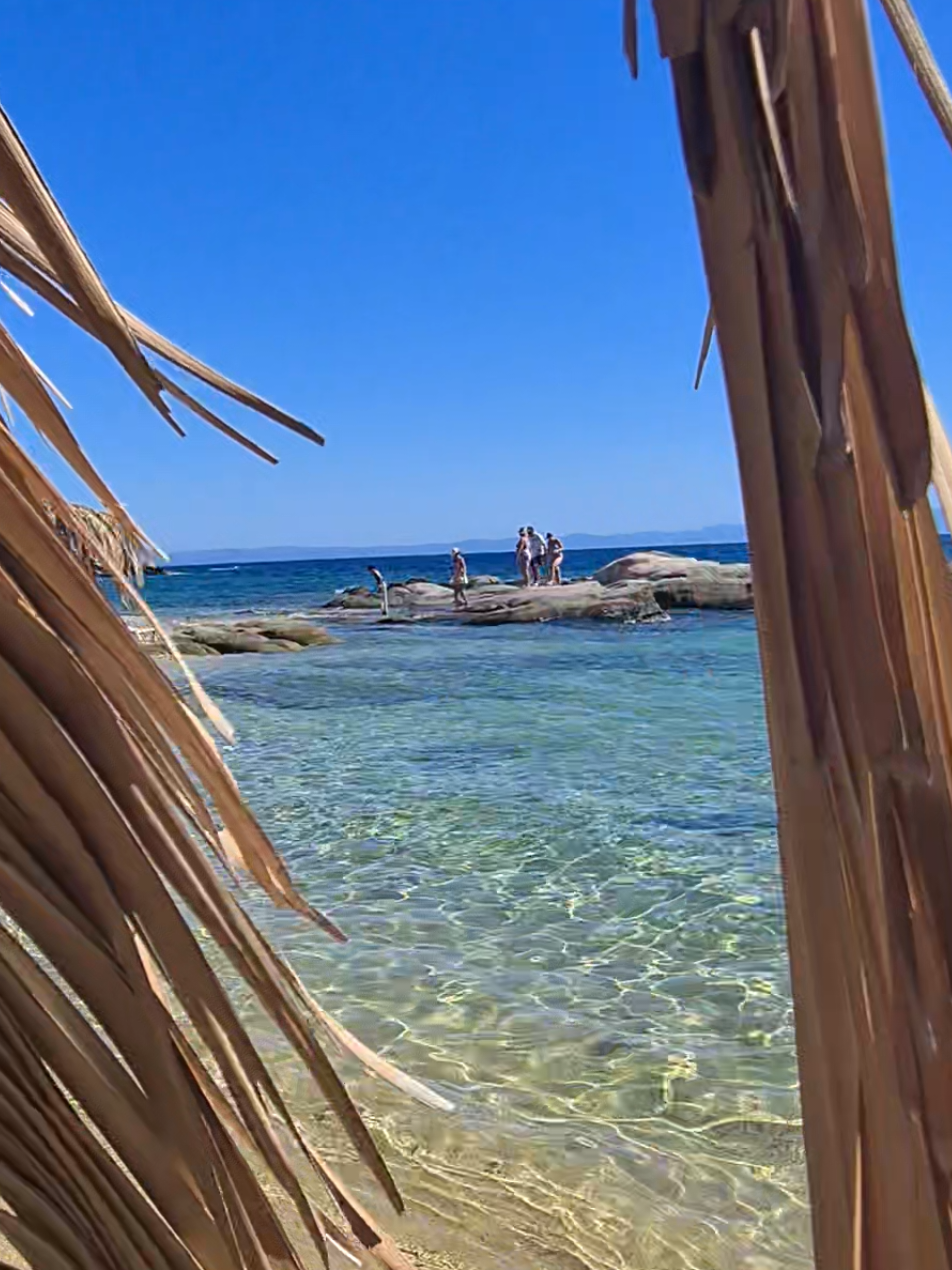 Tigania Beach Halkidiki 💙🇬🇷🎬 Super Blue Water 💙🇬🇷🎬📸 Blue Sea 💙💙💙 Beach Bar and Good Vibes 💙 Relax Music 🎬🇬🇷💙 Happy People 🎬💙🇬🇷 #greece #grecia #Halkidiki #sithonia #travelling #blue #sea #beach #beachbar #music #vibes #Love #lovely #beauty #chill #chic #water  #amor #swiming #enjoy #romantic @Forum Grecia @Greecetiktok 