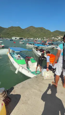 📌 chỉ với 800 cành bạn đã có một chiếc cano đi riêng với gia đình mih ko đi ghép , thời gian thoải mái , riêng tư 😎 #nhatrang  #minibechnhatrang  #viral  #hontamnhatrang 