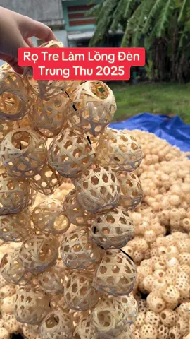 Rọ tre làm lồng đèn trung thu #trungthu #maytrebigs #trungthu2025 #lồng_đèn_trung_thu 