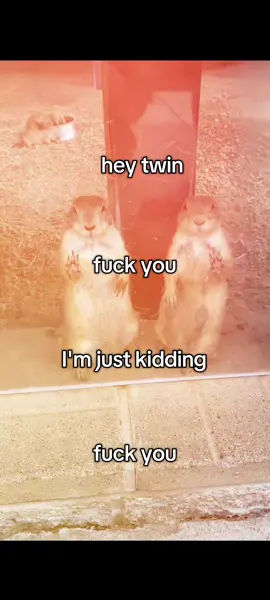 🥹 #happy #positive #ily #twin #fyp #viral 