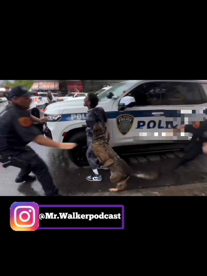 K-9 dog attacks innocent bystander in #suffolkcounty #longisland #strongisland #nassaucounty #516 #631 