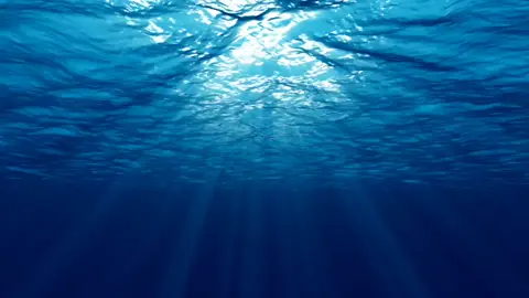 Water overlay ✅                                                        .                   .                                                                            .                   .                                                                            .                   .                                                                            .                   . #freefire_lover #🌸🥹🥹🥹🌸 #freefirethofficial #vairal #fyp #foryuo #sad #vairaltiktok #😊😊😊 #bagladesh🇧🇩tiktok #tiktok 