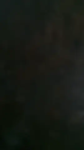 🤣🤣